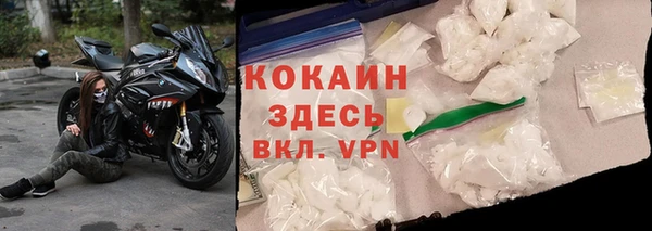 молекула духа Новозыбков
