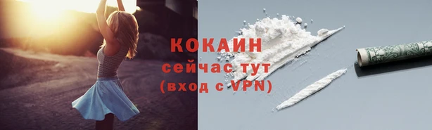 дурь Осинники