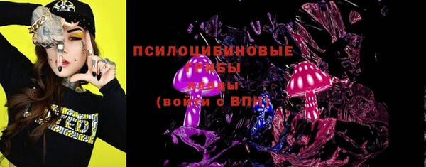 стаф Няндома
