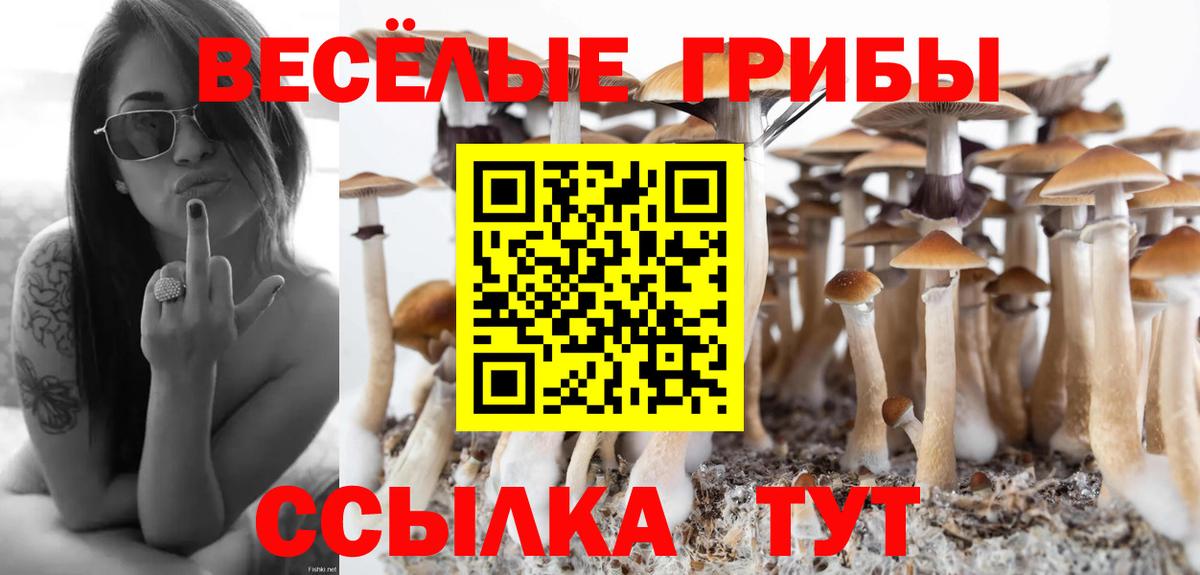 Псилоцибиновые грибы прущие грибы  Вход с VPN  Муравленко 