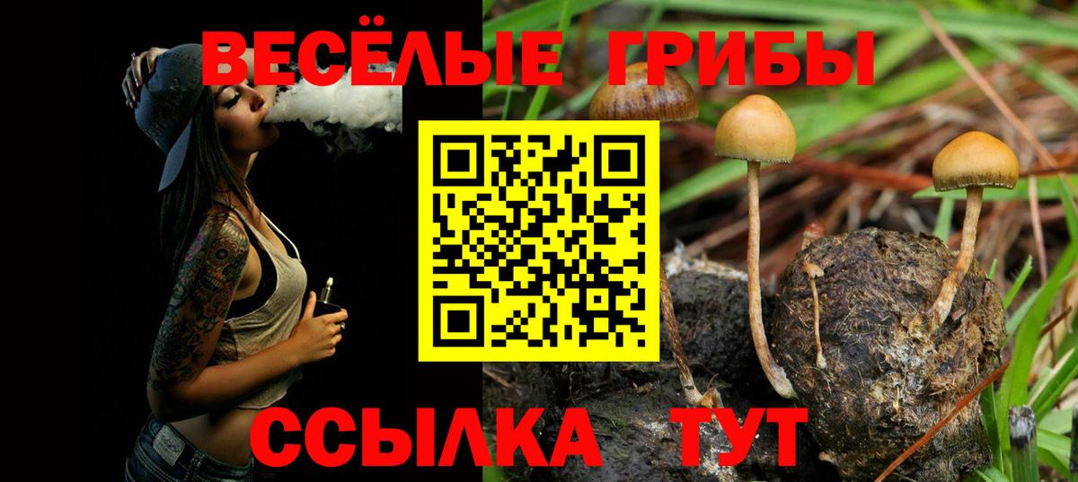 Галлюциногенные грибы MAGIC MUSHROOMS Муравленко